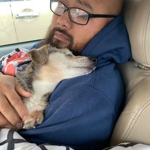 Meet your Posher, Robert